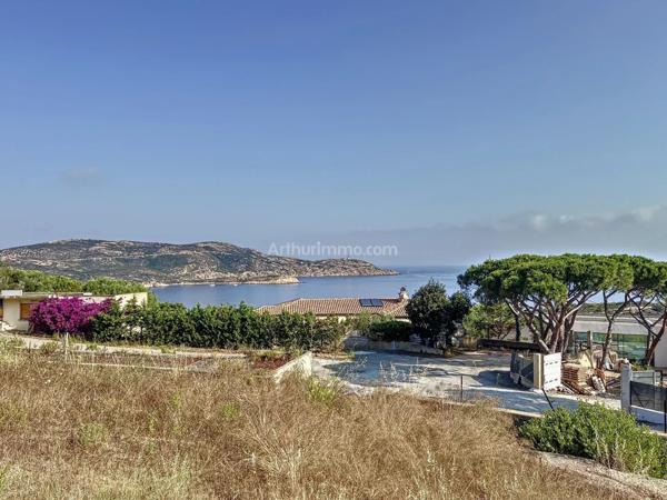 Vente Terrain 1378 m2 à Calvi