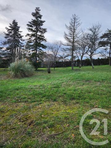 Terrain à vendre  1237 m2 CASTRES - 81