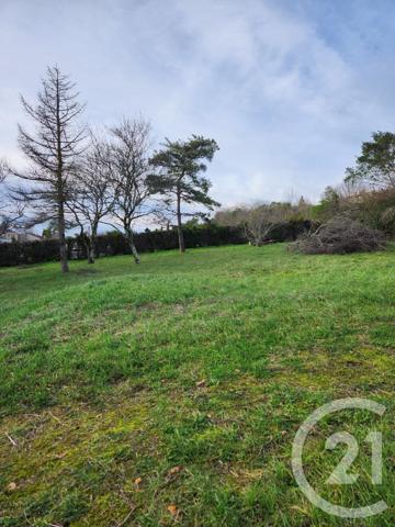 Terrain à vendre  1237 m2 CASTRES - 81