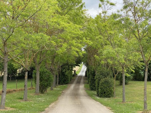 Vente Maison de luxe Lavaur 30 Pièces 1130 m²
