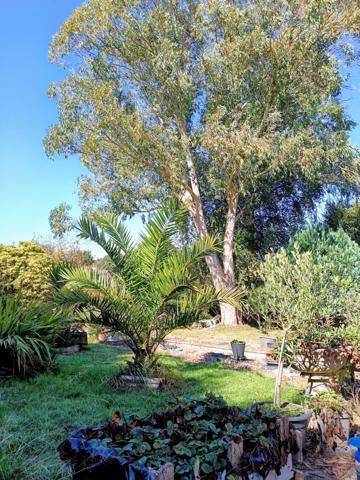 Une maison qui inspire le calme, et le bien-être