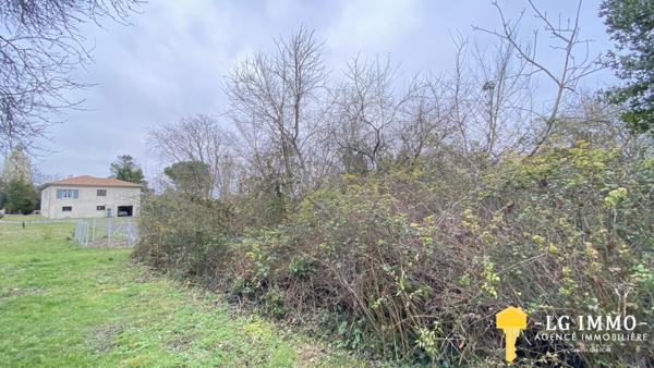 Votre recherche de biens