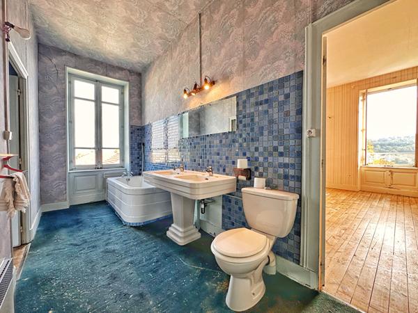 Maison de maître à vendre à La Roche-Blanche ? 260 m², terrain de 4 600 m² et vue dégagée