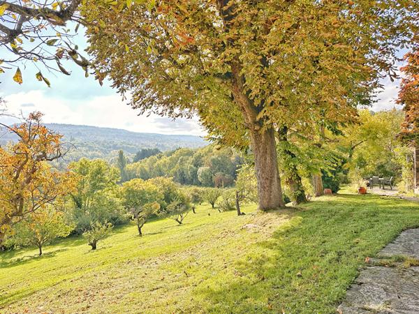 Maison de maître à vendre à La Roche-Blanche ? 260 m², terrain de 4 600 m² et vue dégagée