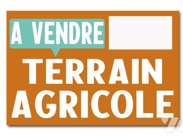 A vendre à ANCHE (86700), un ensemble de parcelle de terre