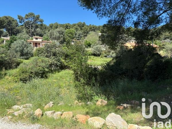 Terrain à vendre 1 000 m² Ollioules