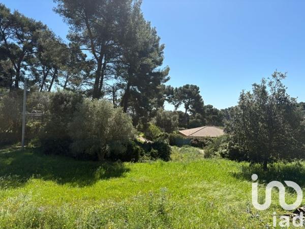 Terrain à vendre 1 000 m² Ollioules