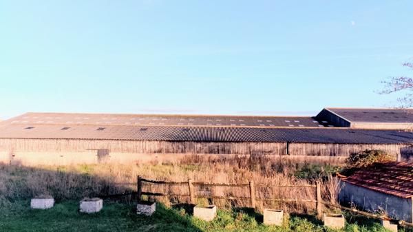Bâtiment à SAINT HILAIRE DE RIEZ (85270)