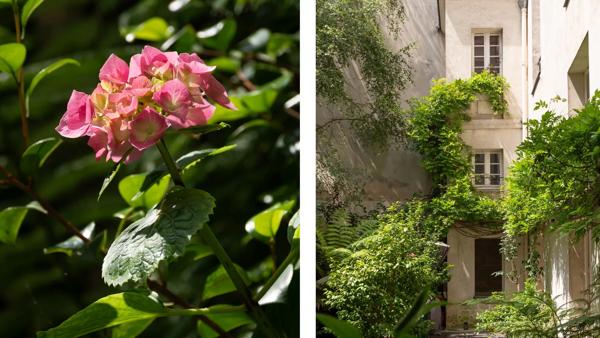 Appartement Paris 4 e - PLACE DES VOSGES