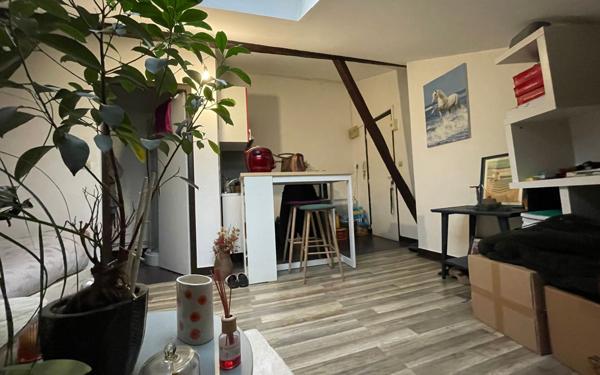 Appartement à louer    1 pièce •  Limoges