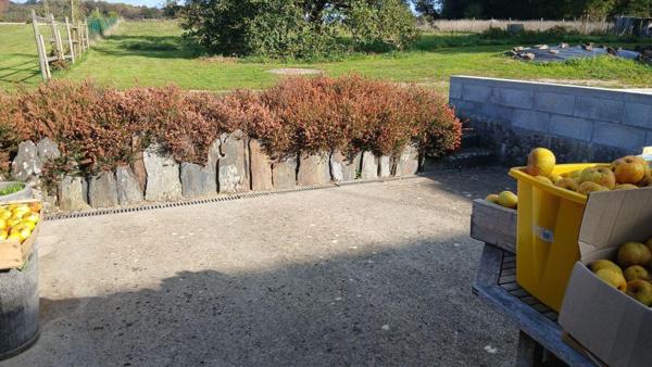 Maison restaurée à louer à Bains-sur-Oust en Ille-et-Vilaine (35600), ref : 009/1293
