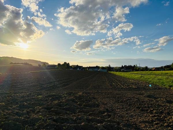 Deux parcelles agricoles
