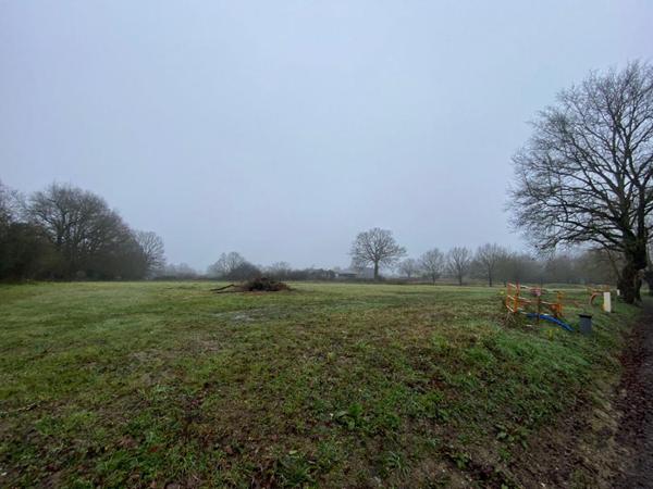 Terrain Ecuille 723 m2