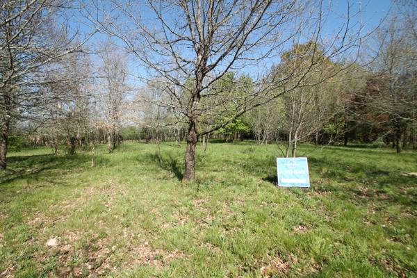 Terrain constructible plat et boisé 1050 m²à vendre proche de CASTELJALOUX (47)