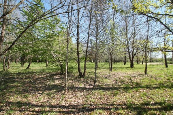 Terrain constructible plat et boisé 1050 m²à vendre proche de CASTELJALOUX (47)