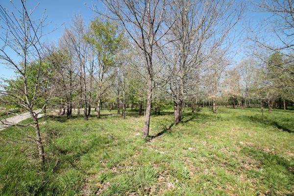Terrain constructible plat et boisé 1050 m²à vendre proche de CASTELJALOUX (47)