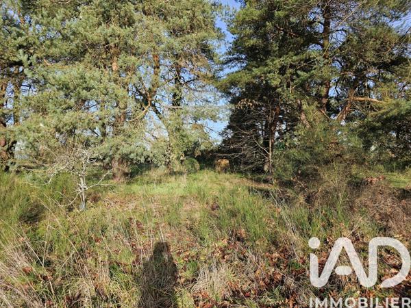 Terrain à vendre 4 600 m² Vieilles-Maisons-sur-Joudry