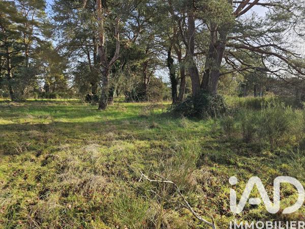 Terrain à vendre 4 600 m² Vieilles-Maisons-sur-Joudry