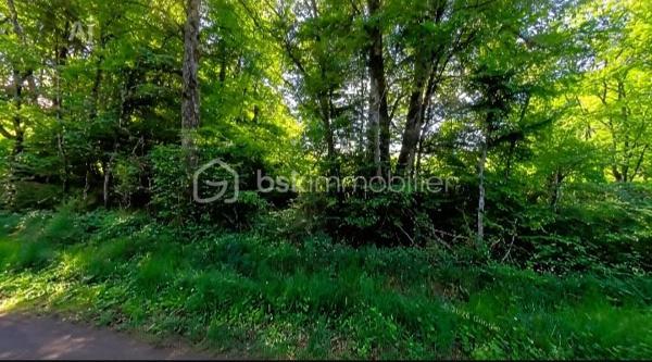 Terrain de loisirs de 5 743 m²