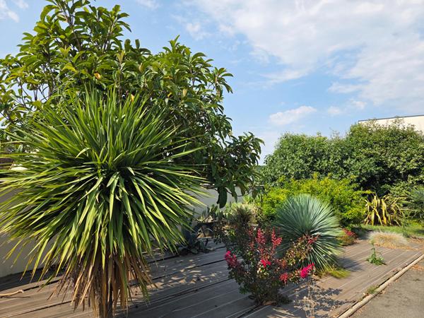 Maison familiale récente La Croix Georgette avec 4 chambres, double garage, jardin et dépendance