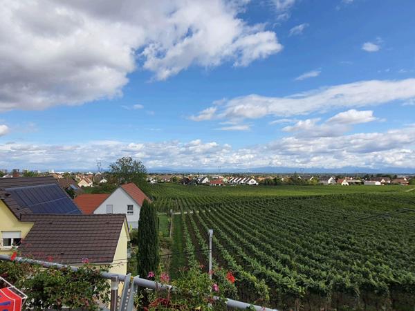 Appartement 5 pièces - 81 m² Exclusivité efficity