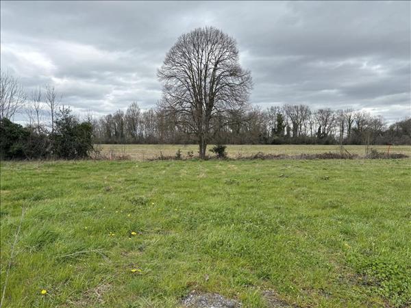 Terrain à vendre |  Limendous |  1187 m²