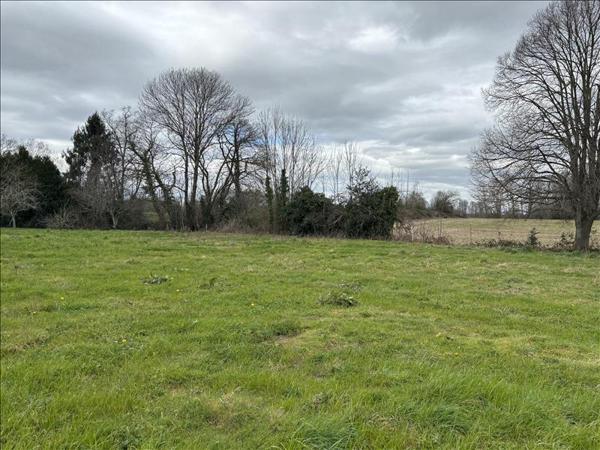 Terrain à vendre |  Limendous |  1187 m²