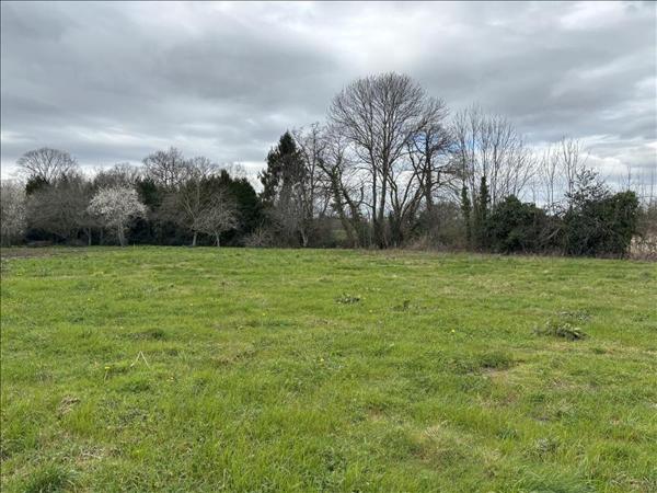 Terrain à vendre |  Limendous |  1187 m²