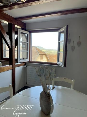 Dpt Haut-Rhin (68), à vendre ZELLENBERG immeuble 197 m²