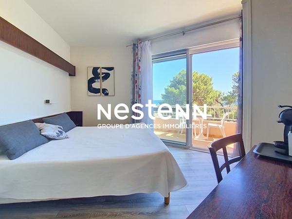 Appartement Argeles Sur Mer 1 pièce