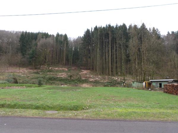 Dpt Moselle (57), à vendre HOTTVILLER terrain - Terrain de 803,00 m²