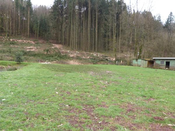 Dpt Moselle (57), à vendre HOTTVILLER terrain - Terrain de 803,00 m²
