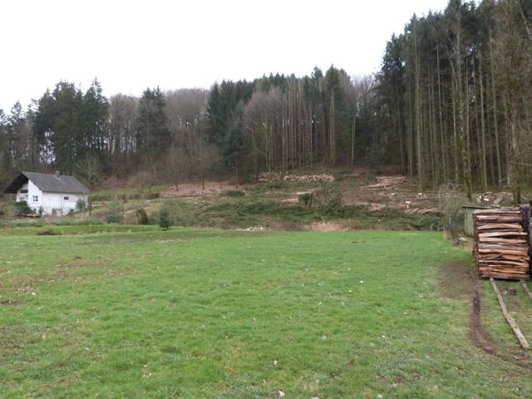 Dpt Moselle (57), à vendre HOTTVILLER terrain - Terrain de 803,00 m²
