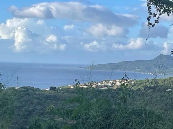 Vente Terrain 453 m2 à Le Carbet