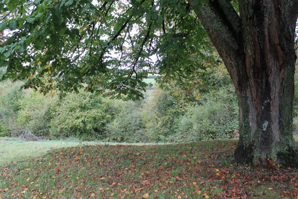 Préveranges - Fermette spacieuse avec 2 maisons sous un même toit. Préveranges (18370)