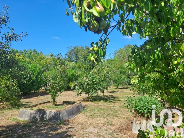 Maison à vendre 3 pièces 84 m² Arvert