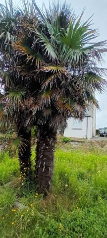 Maison Plouguerneau 8 pièce(s) 150 m2 , Plouguerneau