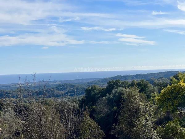 Vente Terrain 1310 m2 à Cervione