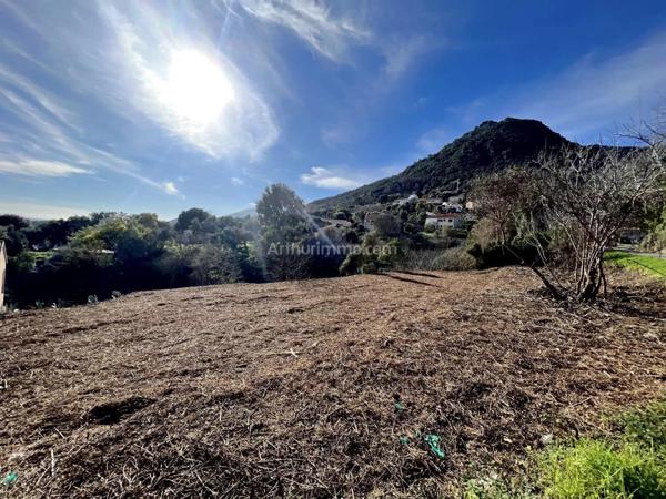 Vente Terrain 1310 m2 à Cervione