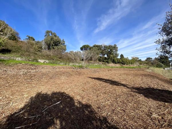 Vente Terrain 1310 m2 à Cervione