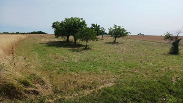 Très beau terrain à bâtir aux portes de la ville