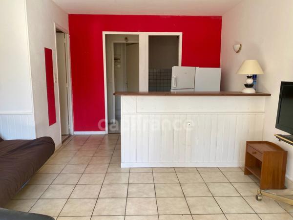 Studio à vendre avec jardin privatif FERNEY VOLTAIRE (01)