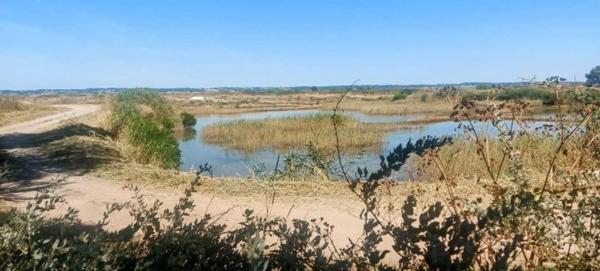 Maison à vendre 6 pièces BATZ SUR MER (44)