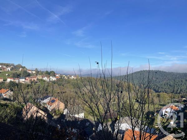 Maison à vendre  10 pièces - 278 m2 DABO - 57