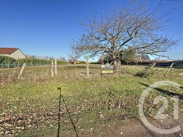 Terrain à vendre  3676 m2 MONETAY SUR ALLIER - 03