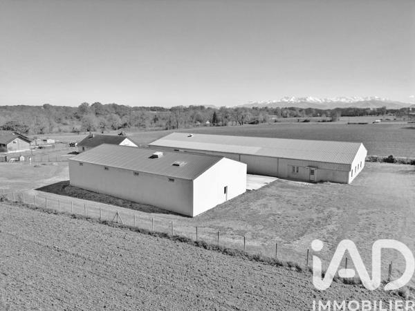 Murs commerciaux  à vendre 1 234 m² Luquet
