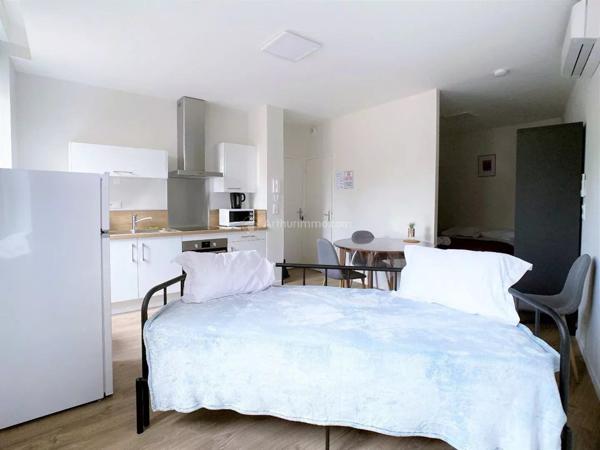 Location Appartement 1 pièces 29 m2 à Albi
