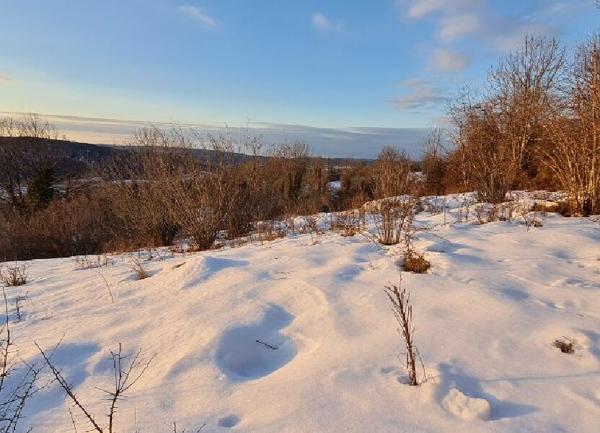 Terrain à vendre    Cormaranche-en-Bugey