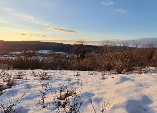Terrain à vendre    Cormaranche-en-Bugey