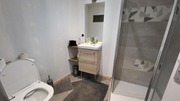24000 Perigueux maison divisée en 2 apparts  f2 et f3 et atelier professionnel  artistique et galerie